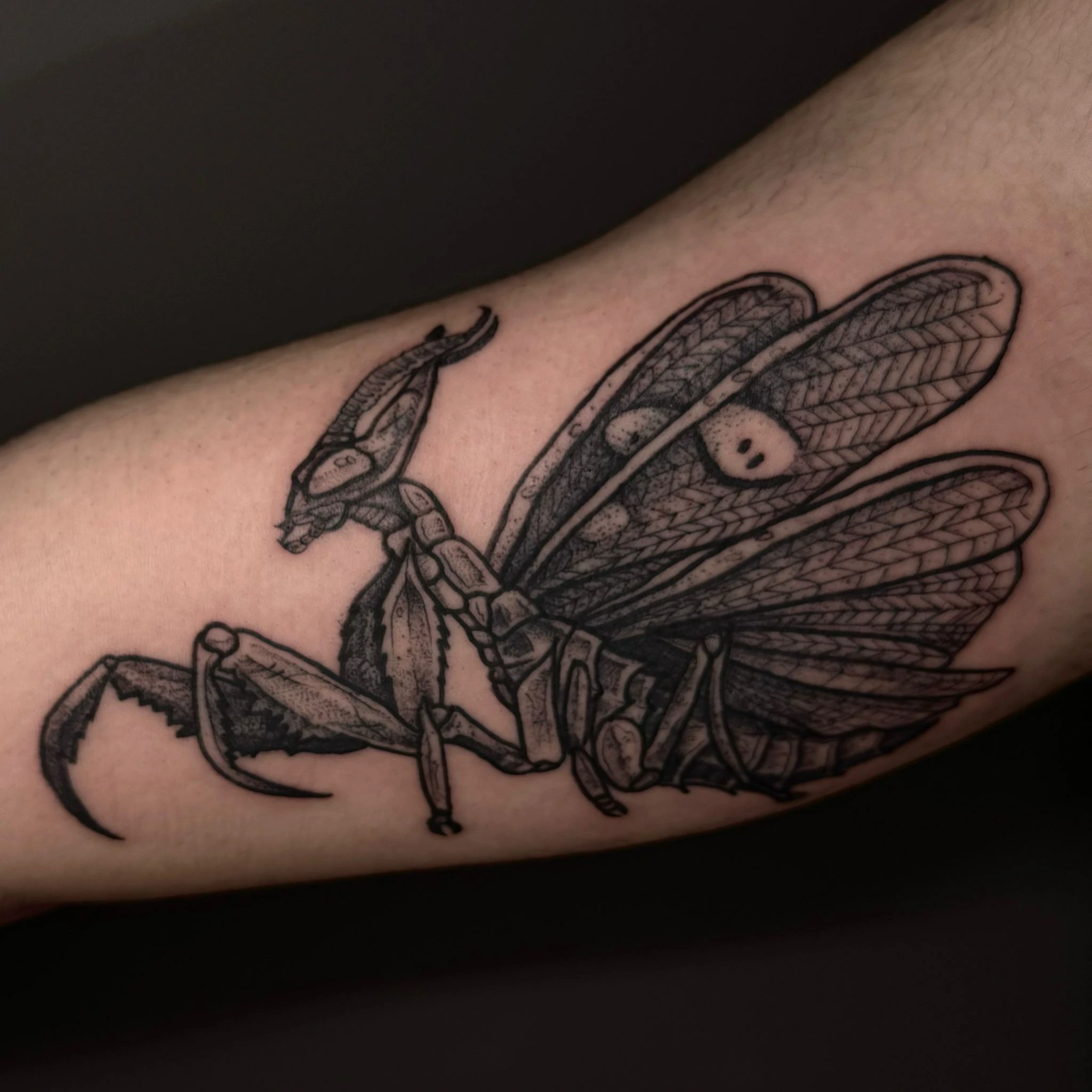 Tattoo Work by GRDNT #16