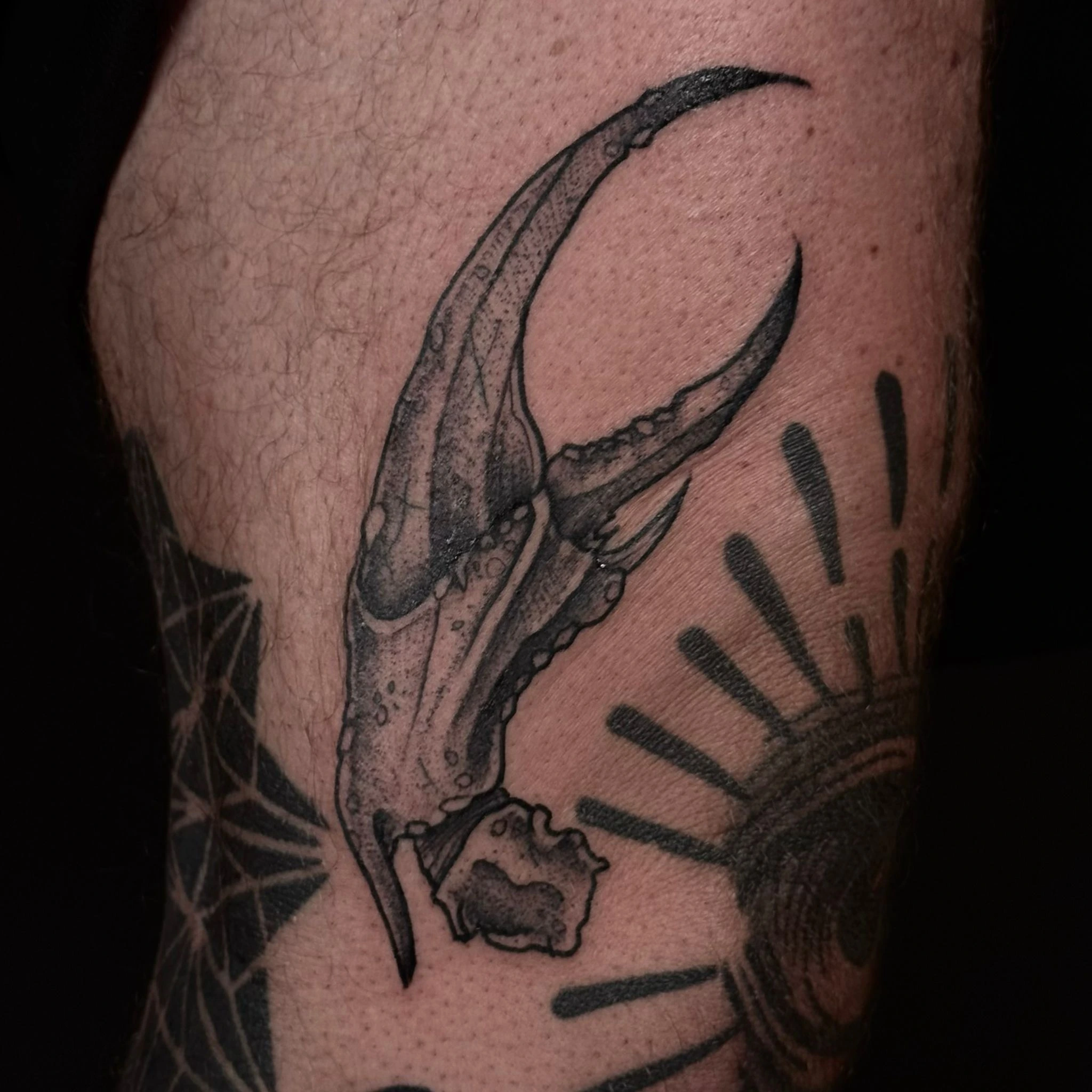 Tattoo Work by GRDNT #19